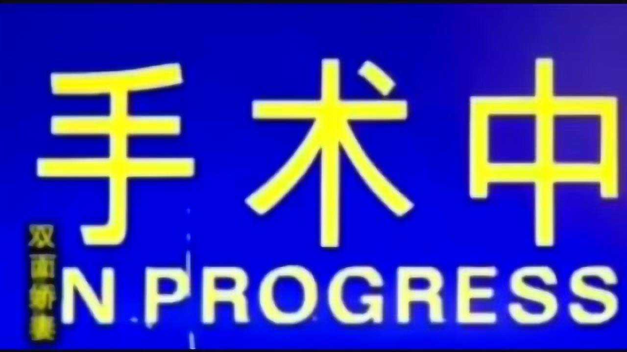 红蜘蛛4:堕落天使 15集