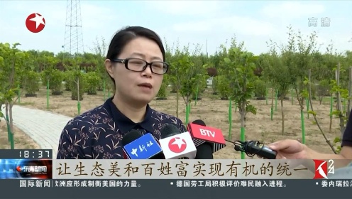 宁夏西海固：小水管撑起新希望 乡村里闯出大市场