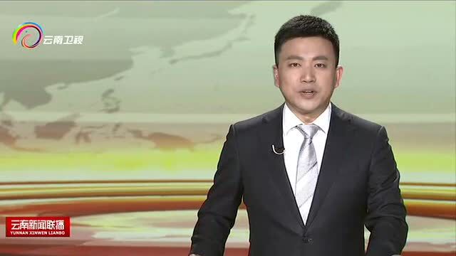 阮成发会见南方电网公司董事长孟振平