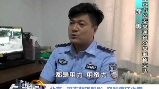 北京 深夜频现魅影 窃贼疯狂作案