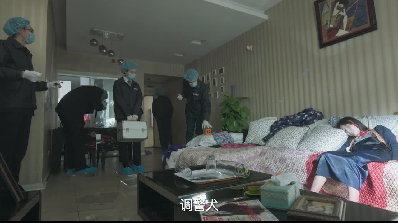 法医秦明之幸存者 13集