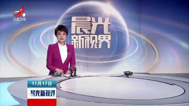 报告称印度IT领域支出明年将达892亿美元