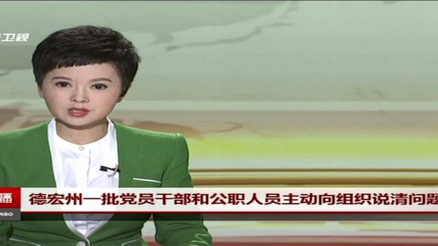 德宏州一批党员干部和公职人员主动向组织说清问题