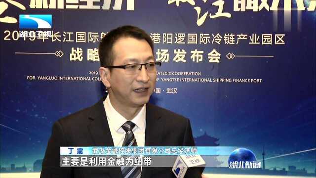 长江国际航运金融港阳逻国际产业园区合作签约仪式今日举行