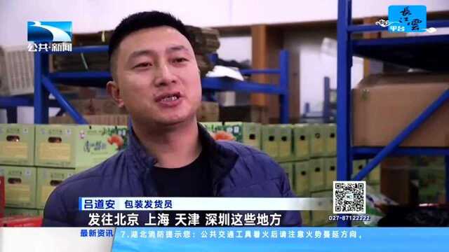 精准扶贫 不落一人 长阳:土特产购销两旺 电商拓宽脱贫路