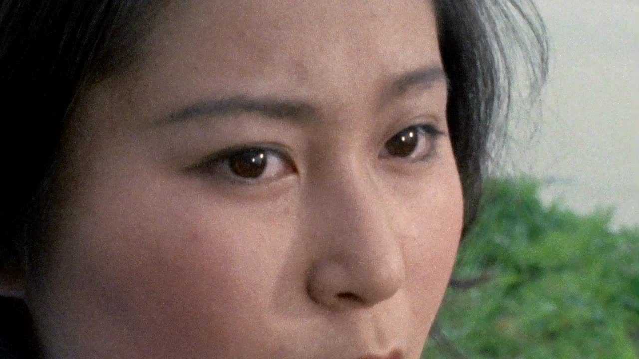 雷欧奥特曼 重制版 普通话版 17集