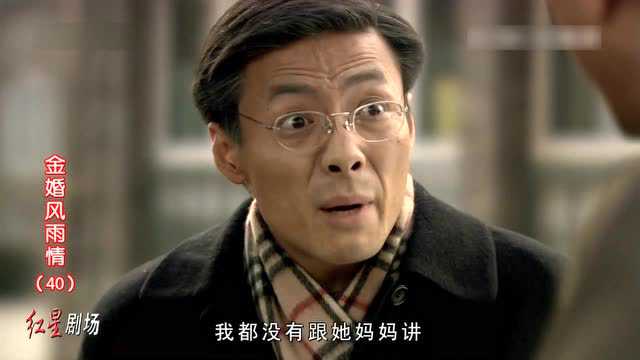 金婚风雨情 40集