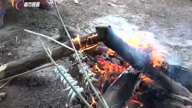 说走就走 湄公河巨型鲶鱼