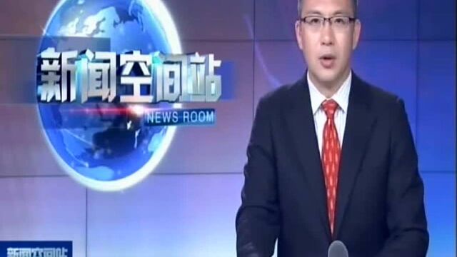 国际网络安全会议在捷克举办