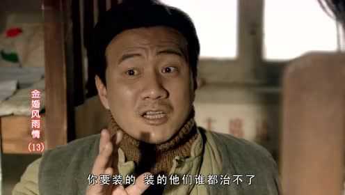 金婚风雨情 13集