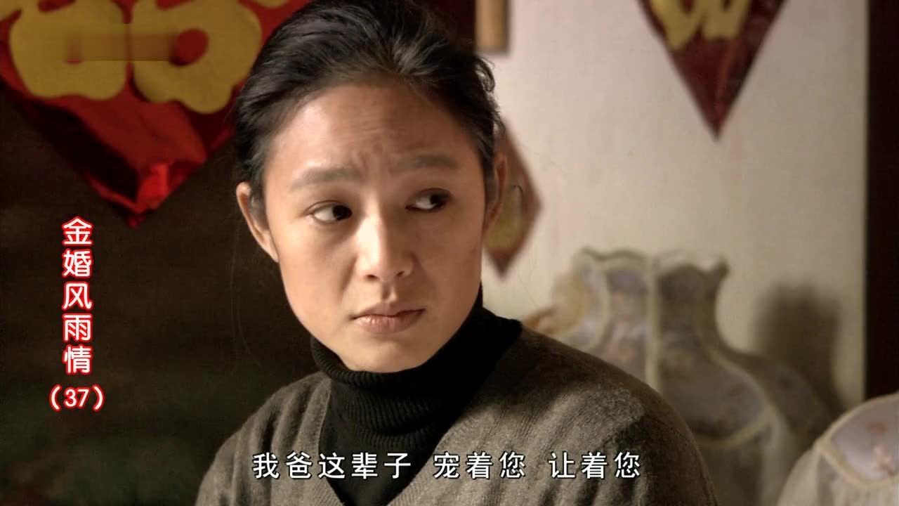 金婚风雨情 37集