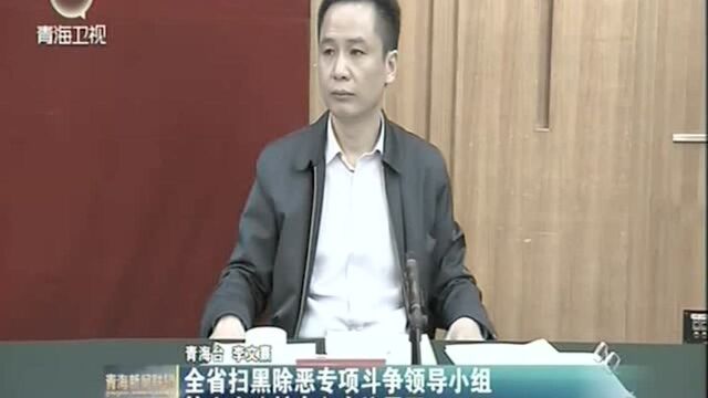 青海省扫黑除恶专项斗争领导小组 第六次(扩大)会议召开