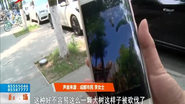 “砍树照片”流传 附近居民心痛