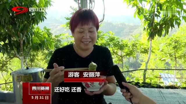 聚力乡村振兴 攀枝花仁和区:新鲜 吃火龙果花