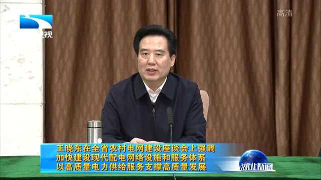 王晓东在全省农村电网建设座谈会上强调 加快建设现代配电网络设施和服务体系 以高质量电力供给服务支撑高质量发展