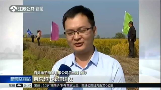 泰州:秋收故事——“兴化大米”全产业链示范基地开镰