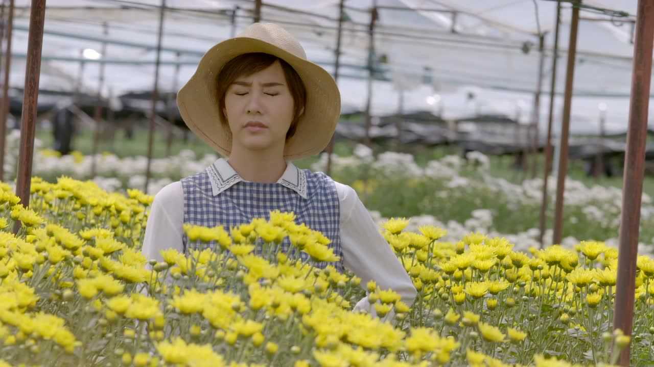鲜花宝座[泰语版] 38集