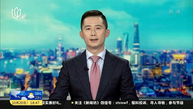 临港一线观察:两港大道快速化项目先行启动工程开工