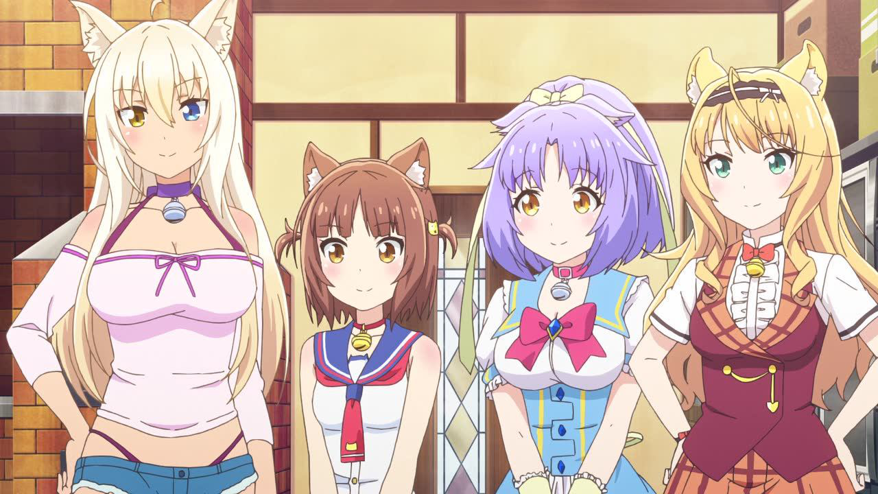 猫娘乐园 8集