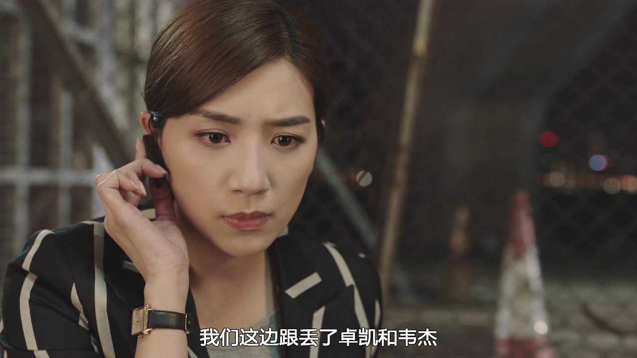 使徒行者3[普通话版] 17集