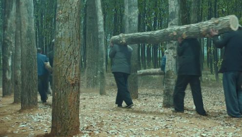 《右玉和她的县委书记们》第33集01：田汉民为抓偷盗者，竟在树林里待了好几天