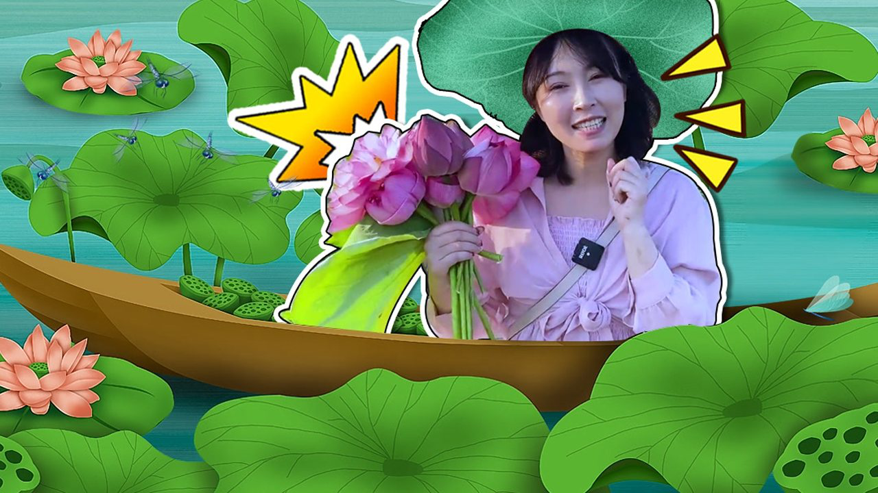 奇探队长：农场劳动季 13集