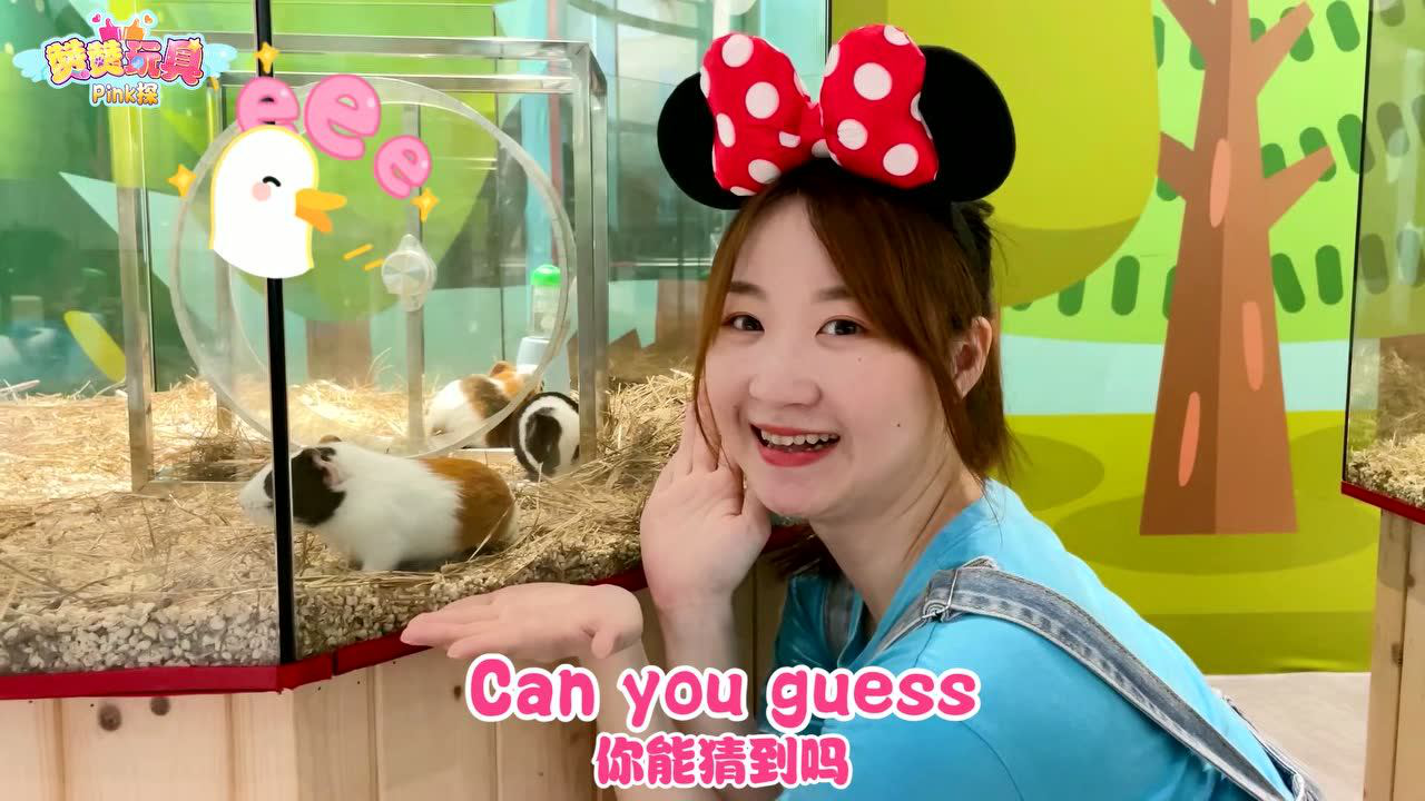 赞赞玩具Pink探：儿童乐园 12集