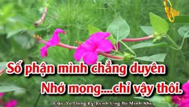 T㬮h Duy㪮 Chẳng Nợ  Tone Nữ