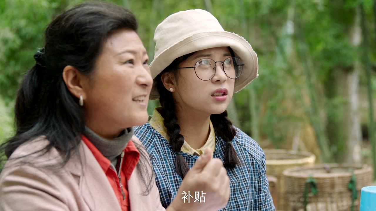 在希望的田野上 13集