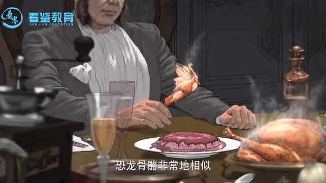 鸟类的祖先是恐龙?