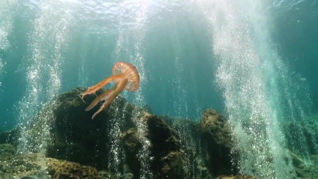 深海六鳃鲨高光片段