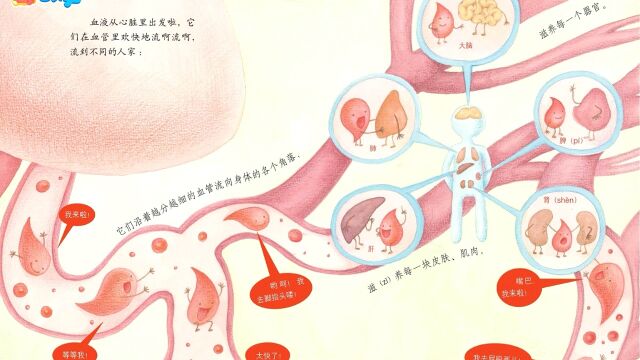 奇妙的人体