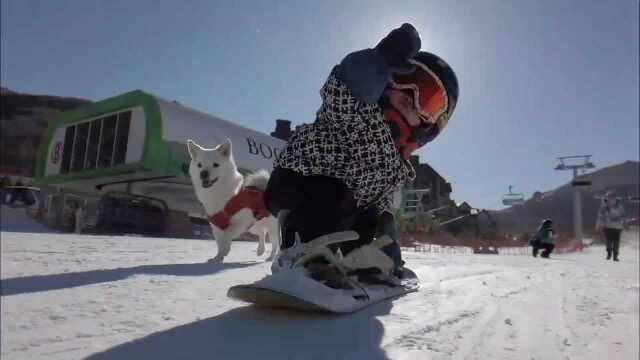 1岁宝宝的滑雪视频混剪,能有什么好燃的?