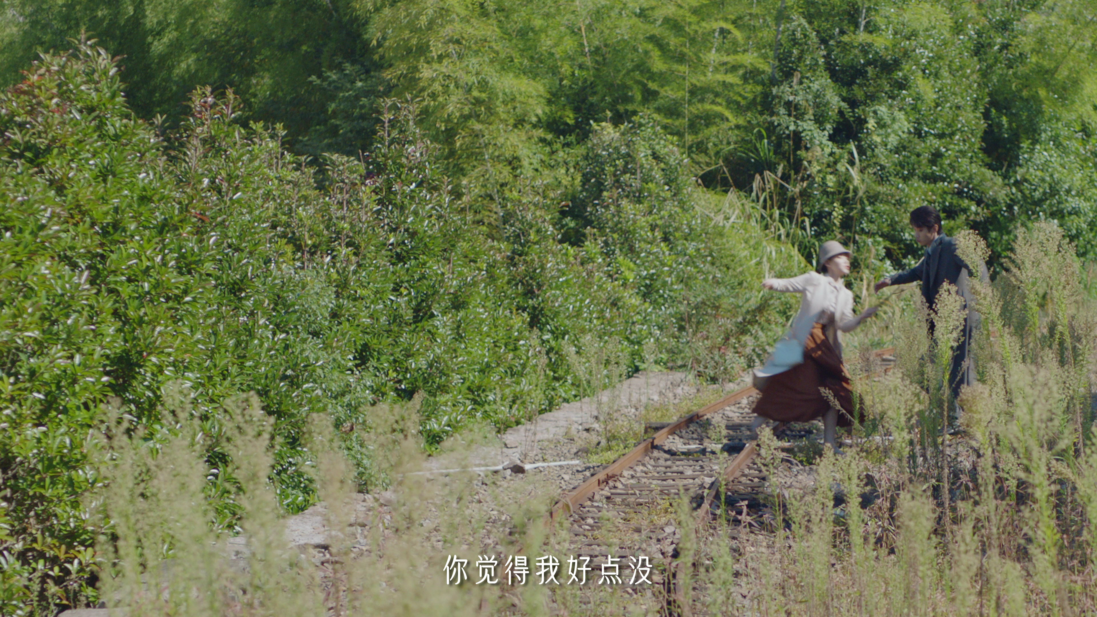 招惹 13集
