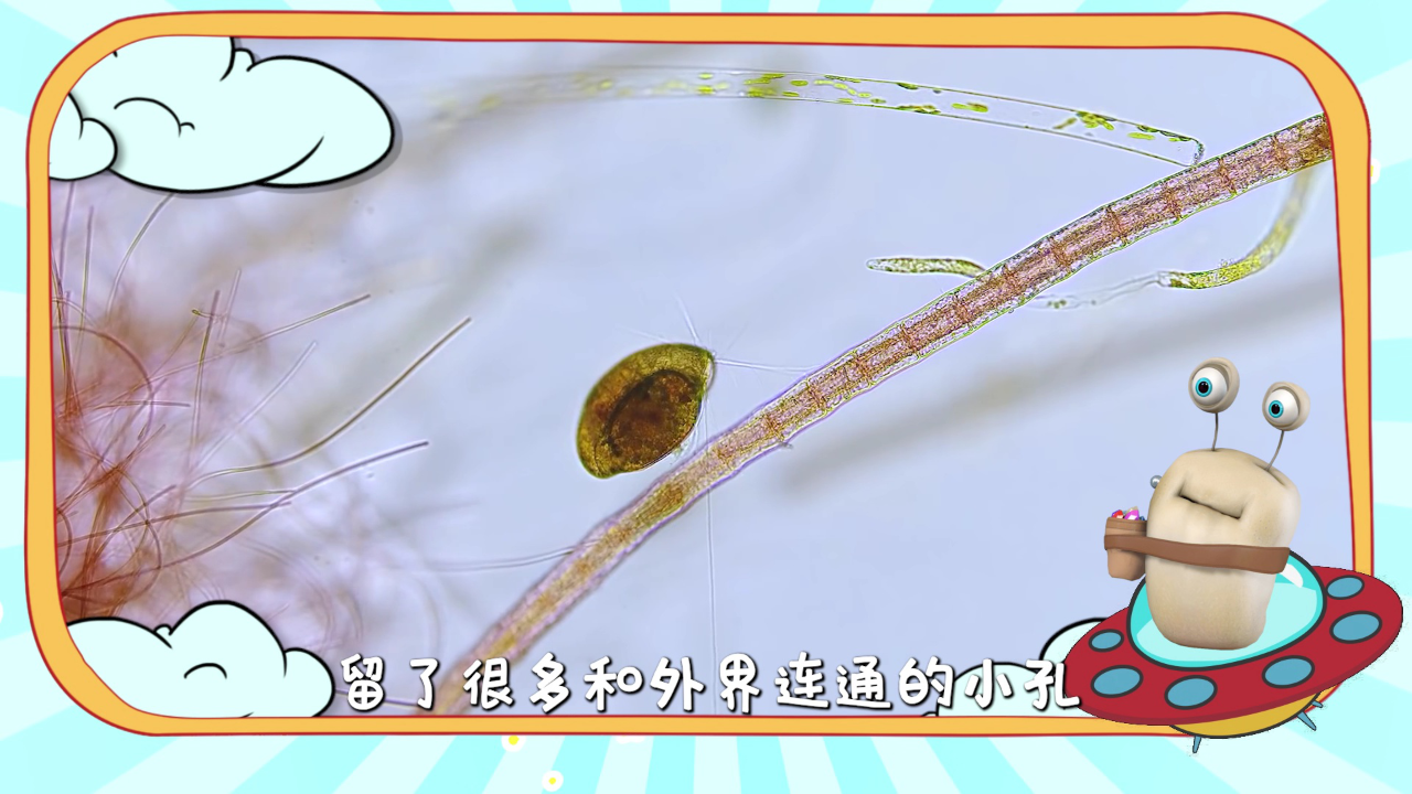 白白侠的微生物朋友 11集