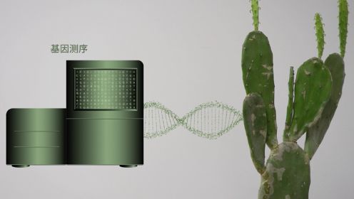 第5集：DNA存储：如何让仙人掌成为硬盘？