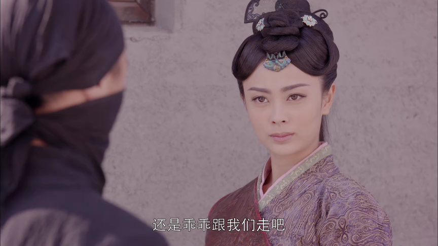 龙汇镖局 29集
