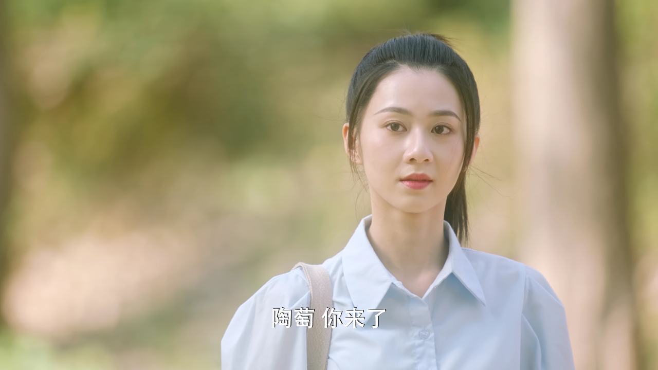 我去过你的未来 12集