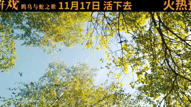 《饥饿游戏:鸣鸟与蛇之歌》“赌命”版预告