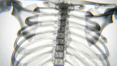 超酷X光透视下的人体骨骼式瑜伽