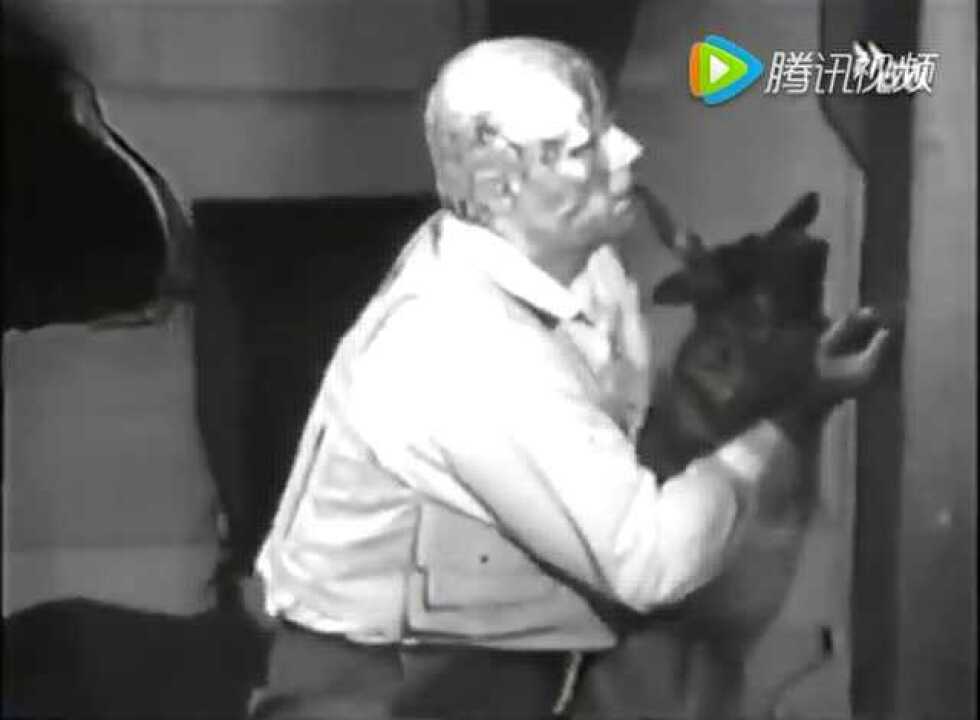 博伊斯-怎样向死兔子解释图像_腾讯视频