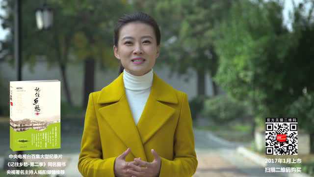 央视女记者杨阳图片