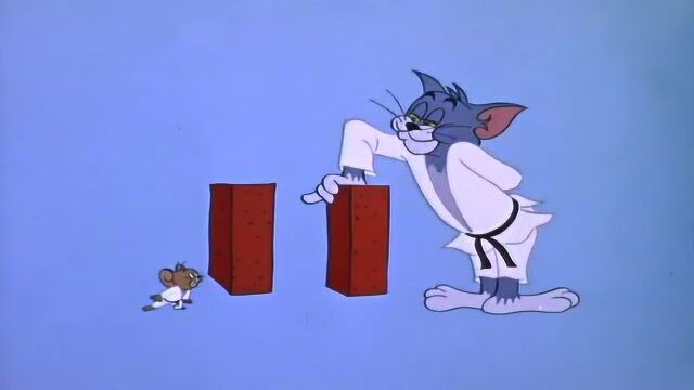 猫和老鼠 汤姆和杰瑞比试拳击和空手道