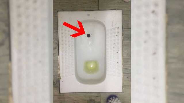 酒店蹲便器上的这个小孔到底是干嘛用的看完真的要小心了