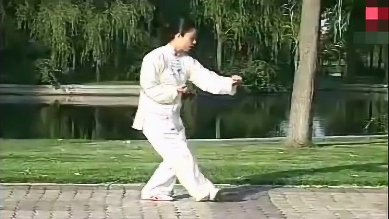 太极冠军邱慧芳太极拳教程“歇步擒打”讲解教学!_高清1080P在线观看平台_腾讯视频