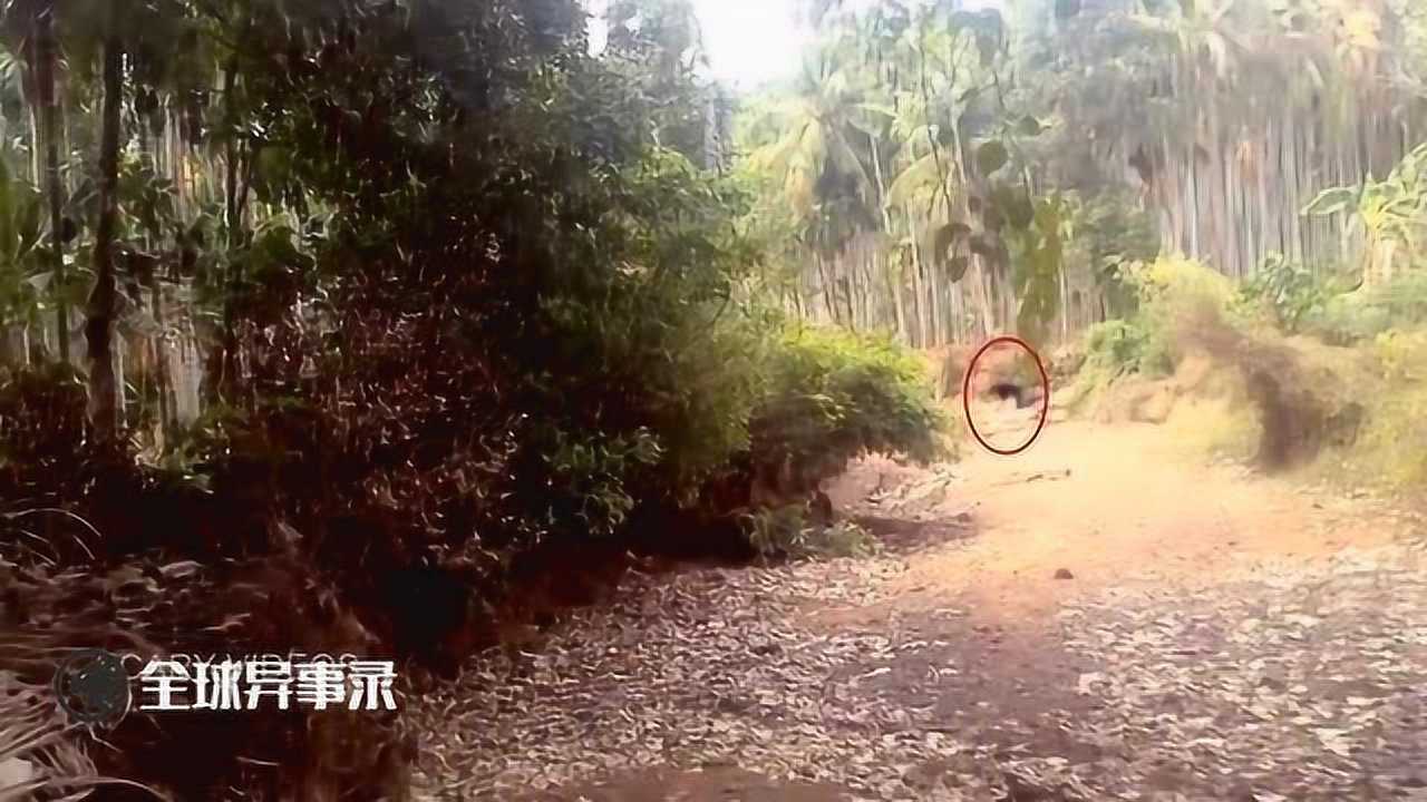 监控实拍野外发生的灵异事件,令人看后毛骨悚然!_高清1080P在线观看平台_腾讯视频