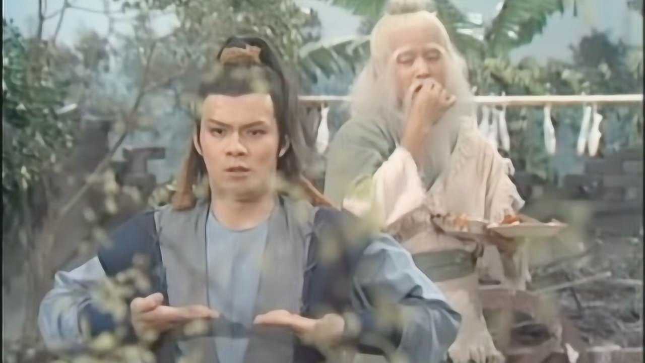 盘点83版《射雕英雄传》洪七公传授郭靖降龙十八掌全过程集锦_高清