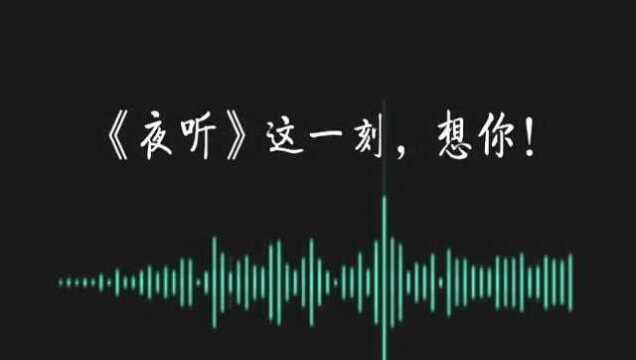 《夜听》这一刻,想你!