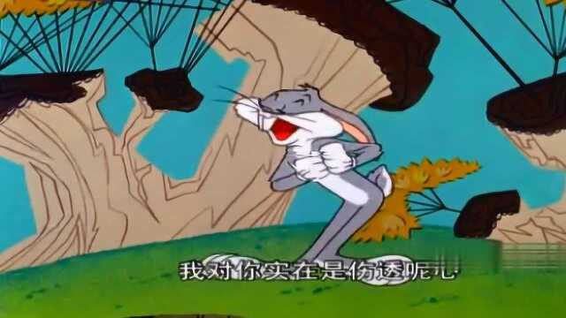 烧包谷云南方言之歌曲代表我的心