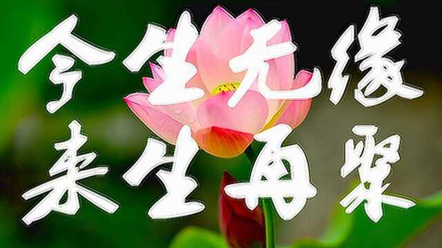 曹越,门丽 - 今生无缘来生再聚